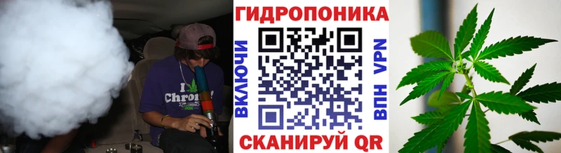 ссылка на мегу как войти  Яранск  Бошки марихуана гибрид  наркотики 